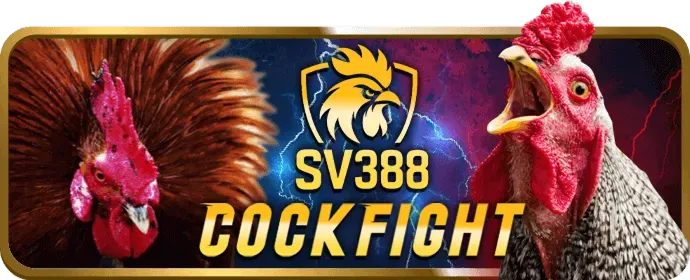 Thành viên VIP x8bet casino tham gia sự kiện độc quyền